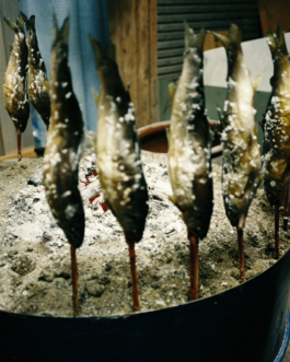 food japan fish documentary photography editorial marc thomas marc thomas film director paris luxury fashion art campaigns creative agency brands photography image editorial ad vogue magazine