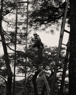  marc thomas film director paris luxury fashion art campaigns creative agency brands photography image editorial ad vogue magazine